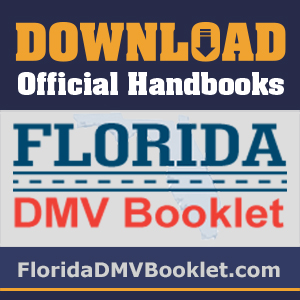 Cost Of Florida Drivers License