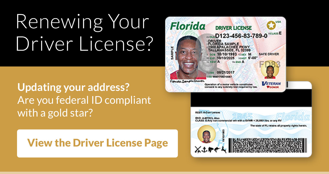 Pasco County Tax Collector Property Search Pasco County Tax Collector Property Search